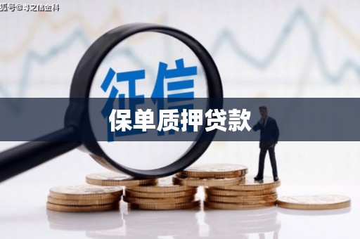 沂水保单质押贷款