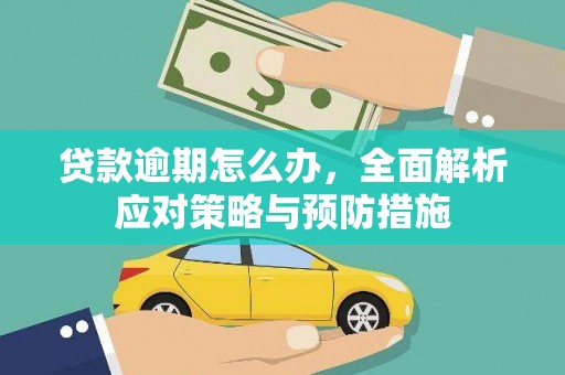 沂水贷款逾期怎么办，全面解析应对策略与预防措施