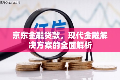 沂水京东金融贷款，现代金融解决方案的全面解析