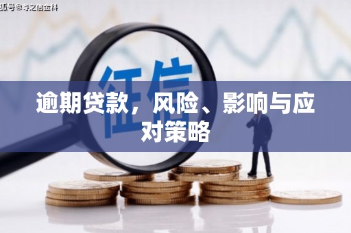 沂水逾期贷款，风险、影响与应对策略