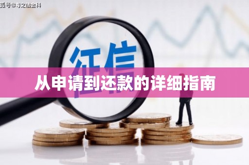 沂水从申请到还款的详细指南