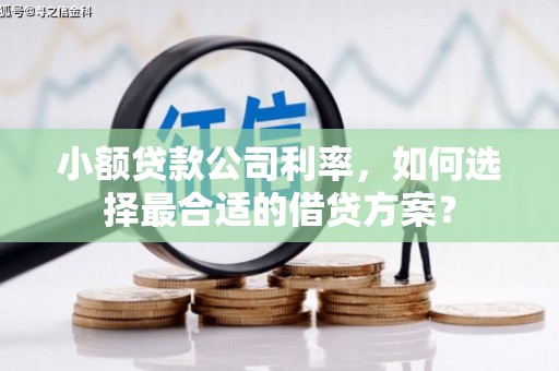 沂水小额贷款公司利率，如何选择最合适的借贷方案？