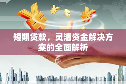 沂水短期贷款，灵活资金解决方案的全面解析