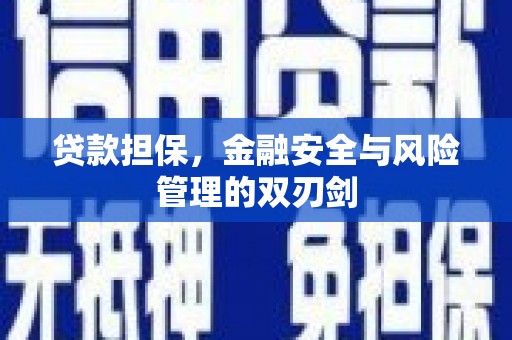沂水贷款担保，金融安全与风险管理的双刃剑