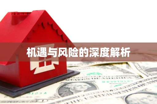 沂水机遇与风险的深度解析