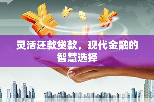 沂水灵活还款贷款，现代金融的智慧选择