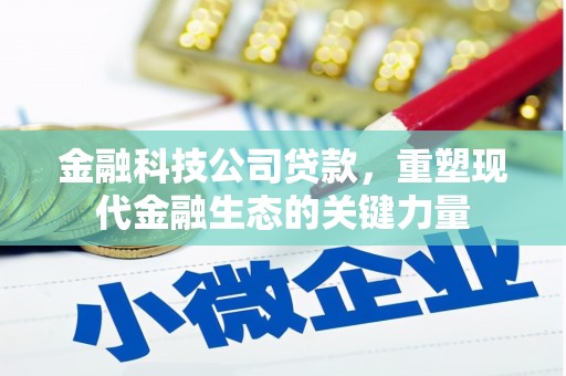 沂水金融科技公司贷款，重塑现代金融生态的关键力量