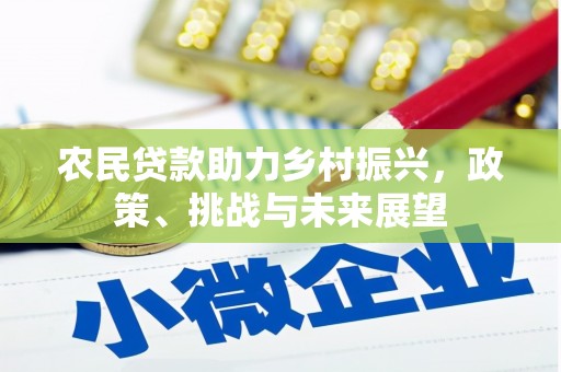 沂水农民贷款助力乡村振兴，政策、挑战与未来展望