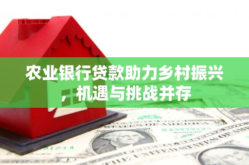 沂水农业银行贷款助力乡村振兴，机遇与挑战并存