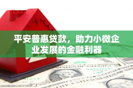 沂水平安普惠贷款，助力小微企业发展的金融利器