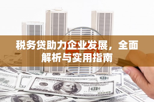 沂水税务贷助力企业发展，全面解析与实用指南