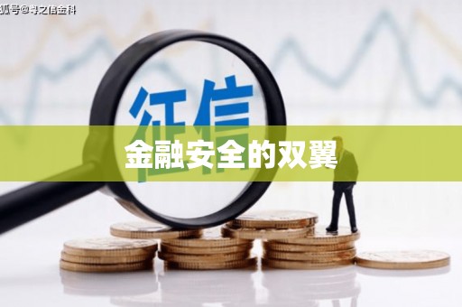 沂水金融安全的双翼