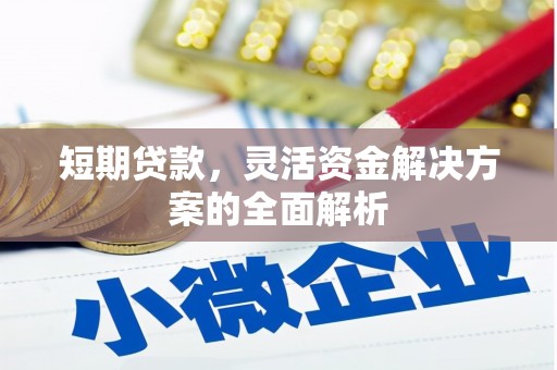 沂水短期贷款，灵活资金解决方案的全面解析