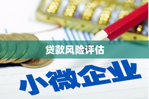 沂水贷款风险评估