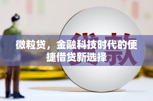 沂水微粒贷，金融科技时代的便捷借贷新选择