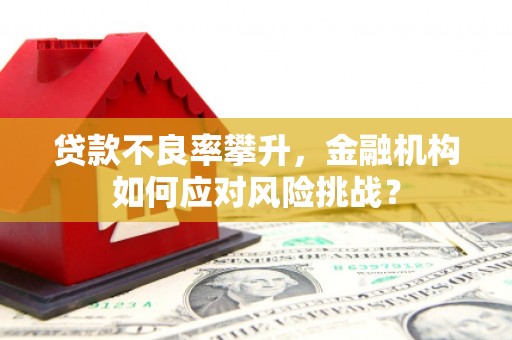 沂水贷款不良率攀升，金融机构如何应对风险挑战？