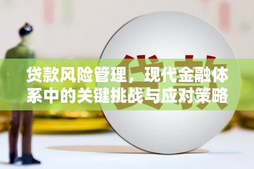 沂水贷款风险管理，现代金融体系中的关键挑战与应对策略