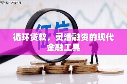 沂水循环贷款，灵活融资的现代金融工具
