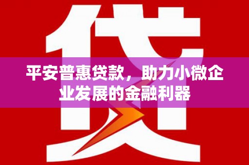 沂水平安普惠贷款，助力小微企业发展的金融利器