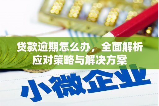 沂水贷款逾期怎么办，全面解析应对策略与解决方案