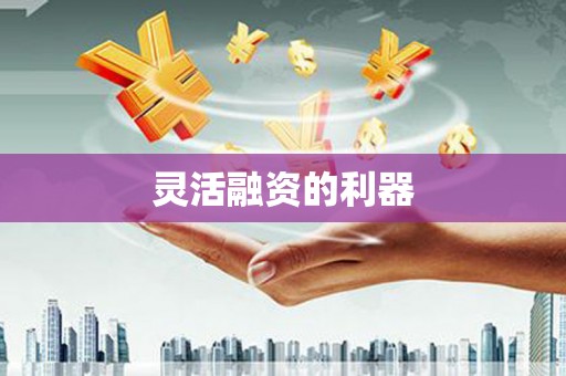 沂水灵活融资的利器