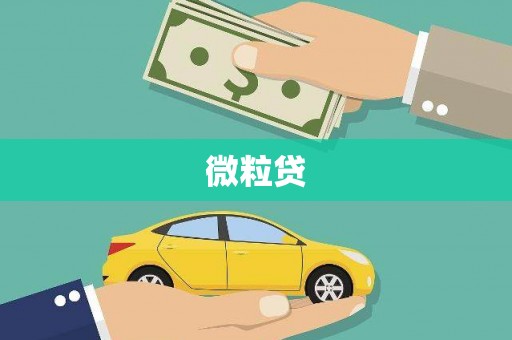 沂水微粒贷