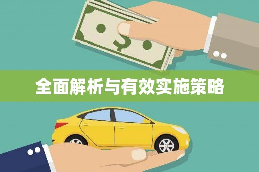 沂水全面解析与有效实施策略