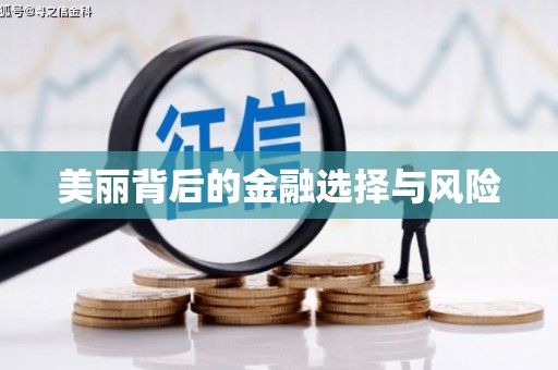 沂水美丽背后的金融选择与风险