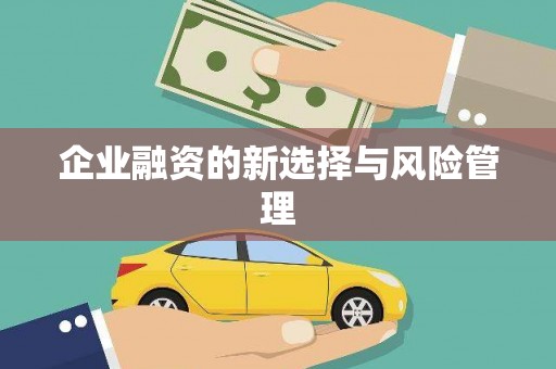 沂水企业融资的新选择与风险管理