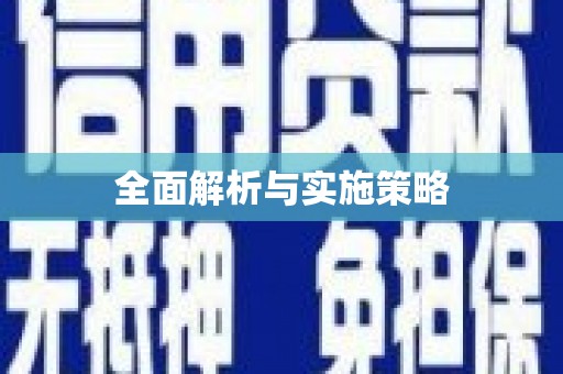 沂水全面解析与实施策略