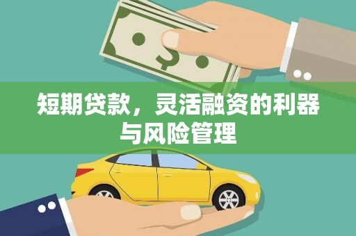 沂水短期贷款，灵活融资的利器与风险管理