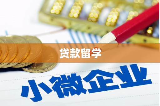 沂水贷款留学