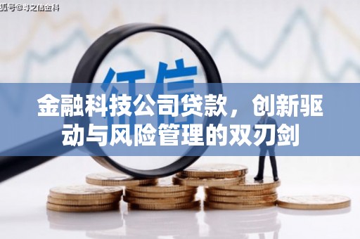 沂水金融科技公司贷款，创新驱动与风险管理的双刃剑